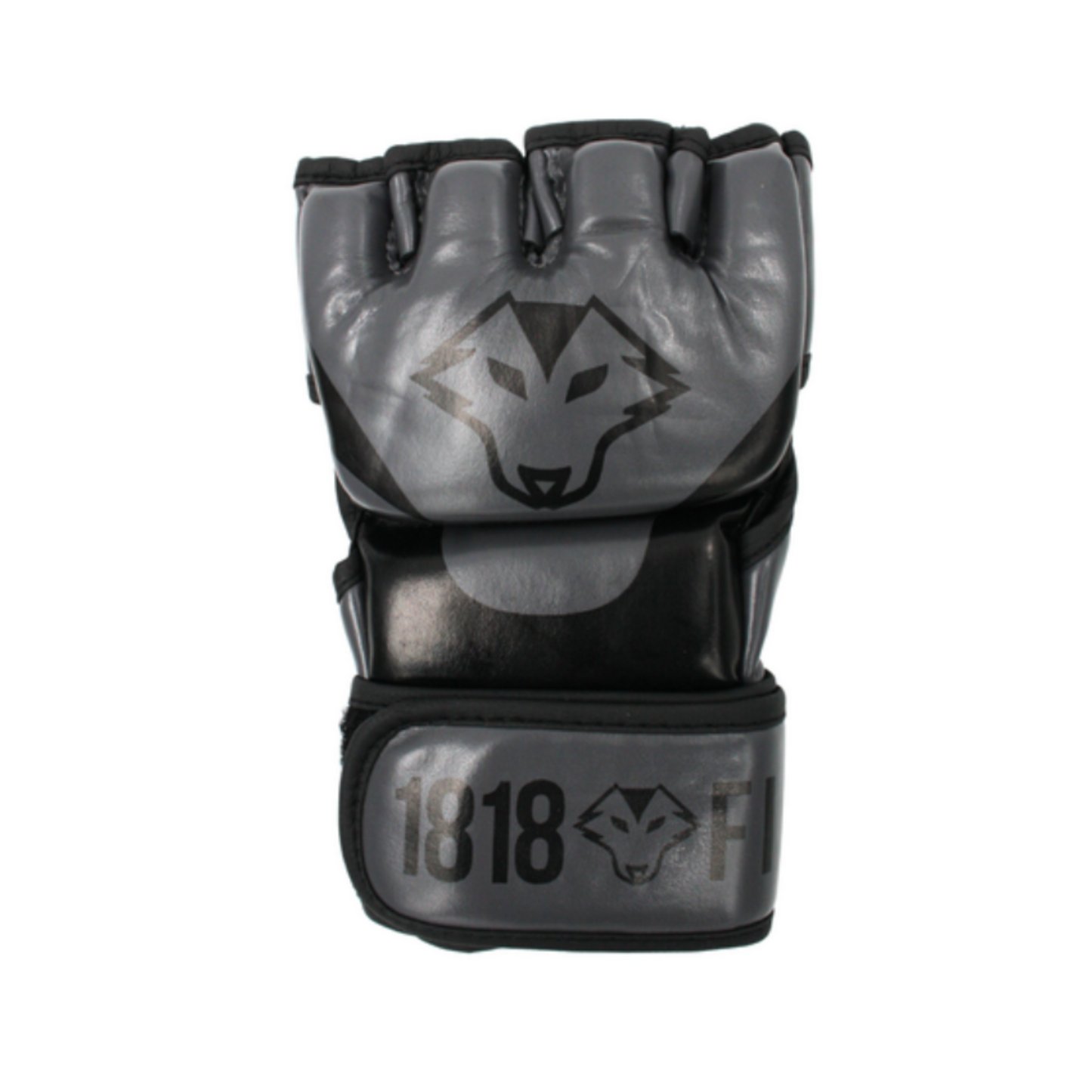 MMA Gloves