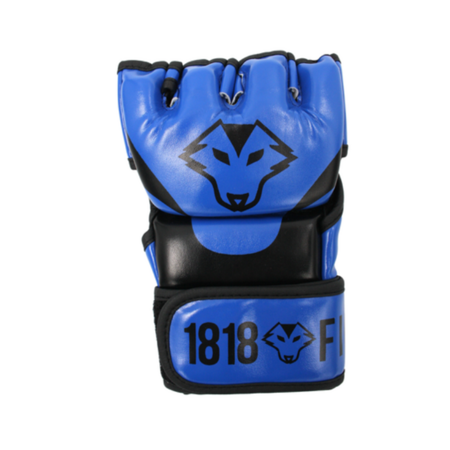 MMA Gloves