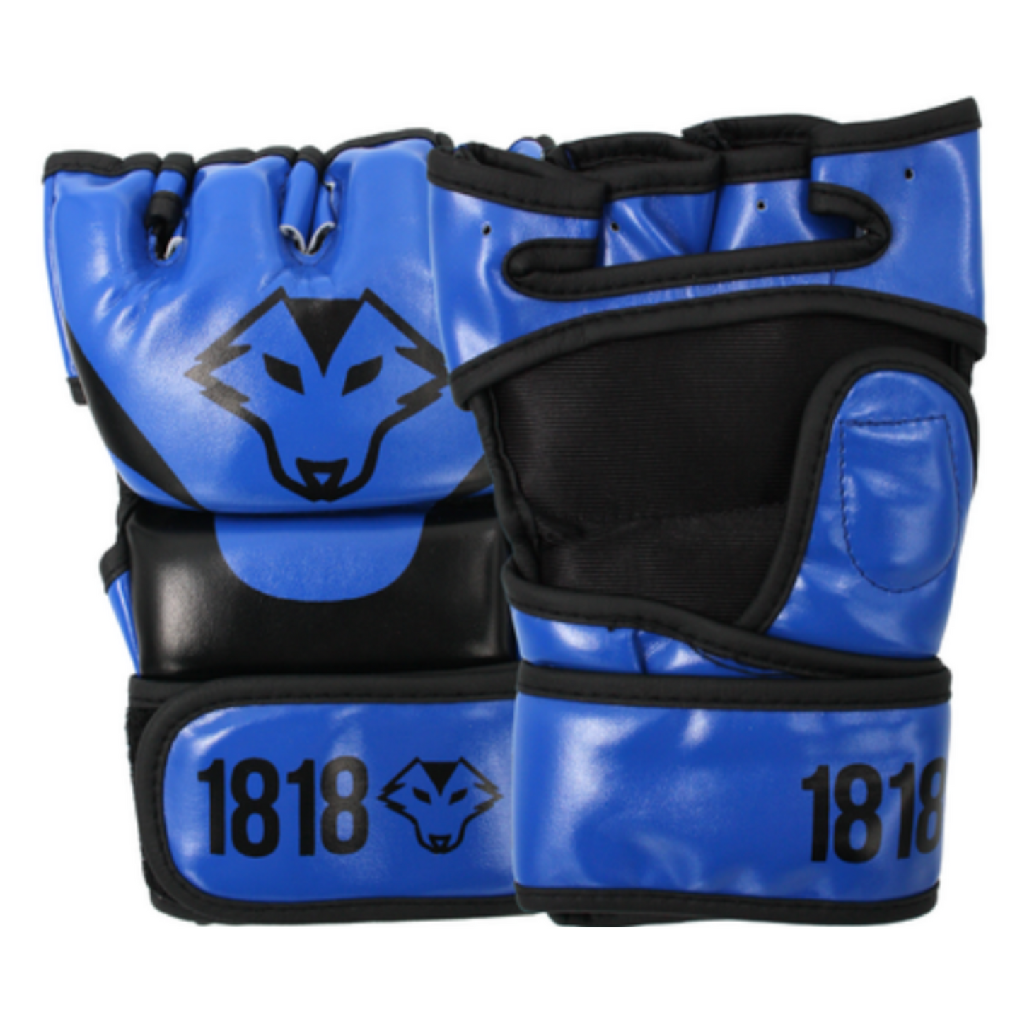 MMA Gloves