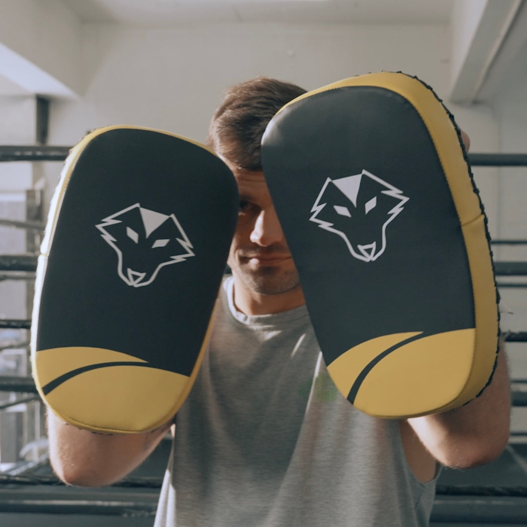 Muay Thai Strike Pads